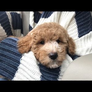 Meet your Posher, Janelle